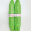 banding machine for vegetable packing